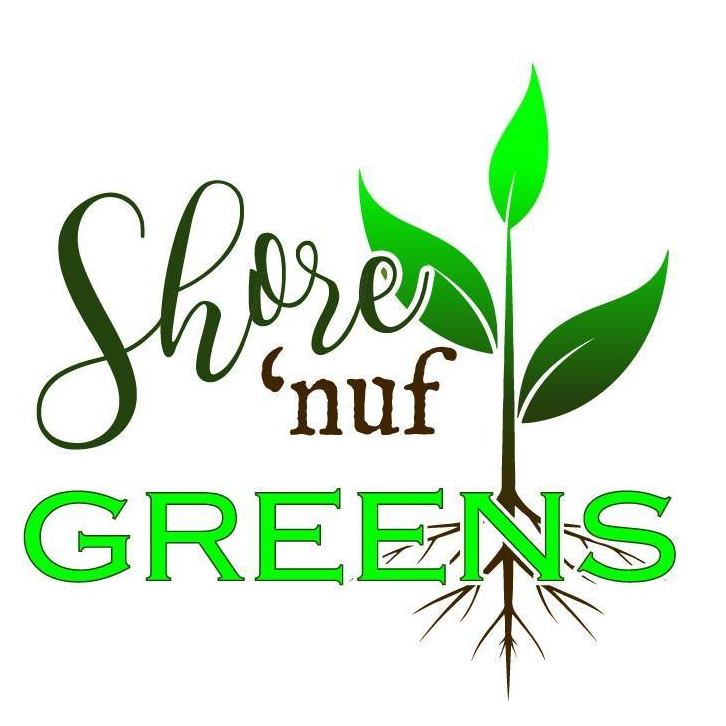 Shore 'Nuf Greens