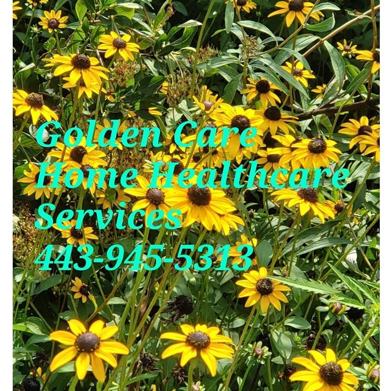 Golden Care Home Helathcare