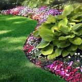 Knolltop Landscape LLC - Kent County