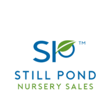 Still Pond Nursery Sales